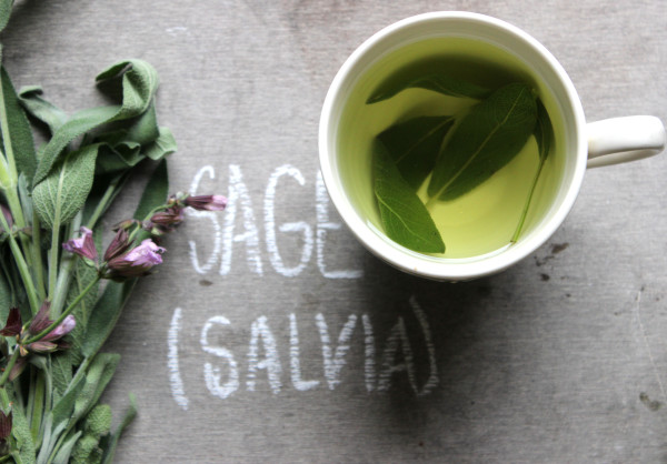 sage-tea | www.4hourbodygirl.com