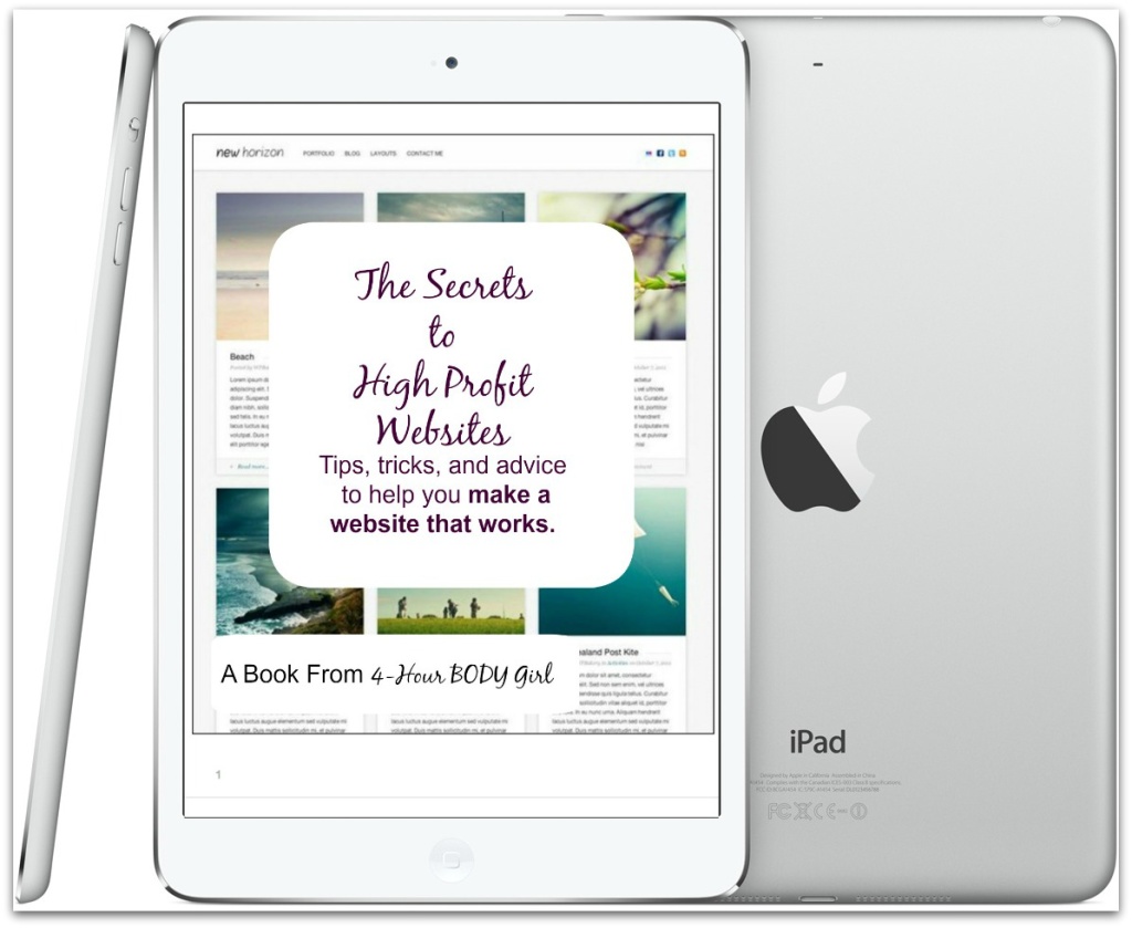 THE SECRETS TO HIGH PROFIT WEBSITES ipad