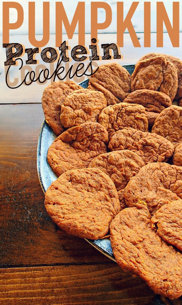 Low Carb/40 Calorie Pumpkin Protein Cookies |www.4hourbodygirl.com