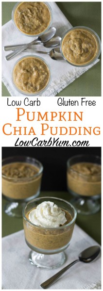 Pumpkin chia Pudding | www.4hourbodygirl.com