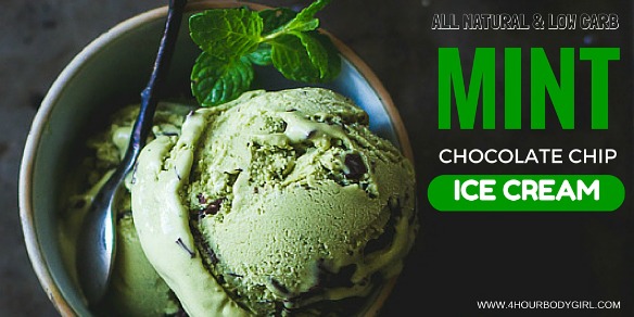 MINT CHOCOLATE CHIP ICE CREAM – NATURAL & LOW CARB